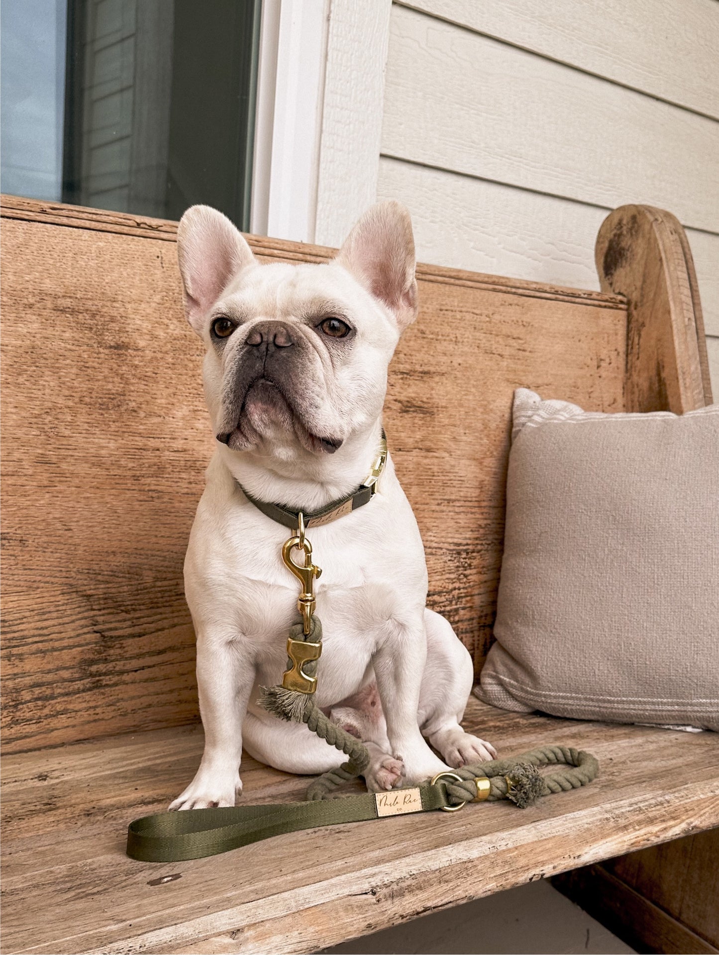 Olive Green Collar Walk Set