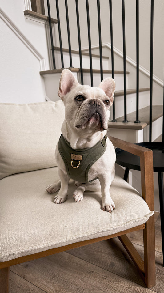 Olive Green Harness