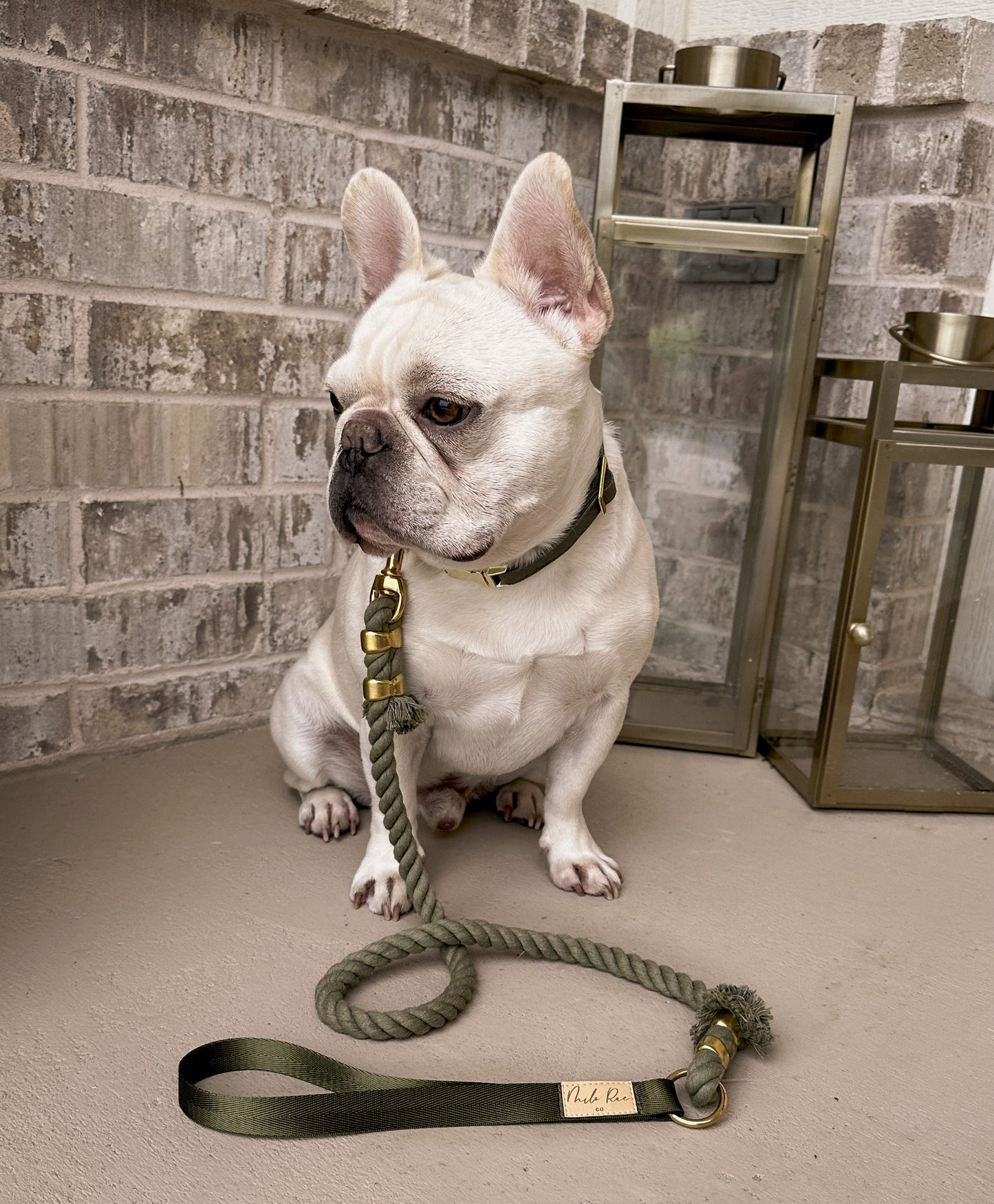 Olive Green Leash