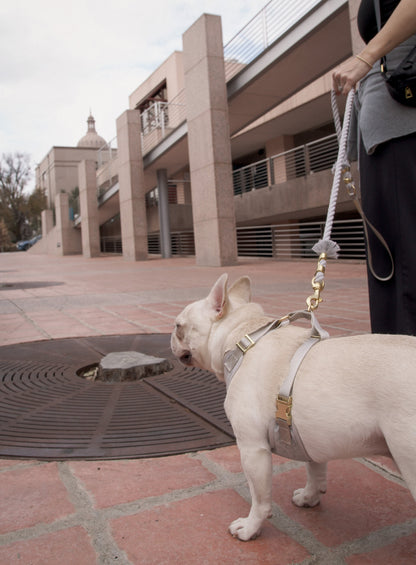 Dove Gray Leash