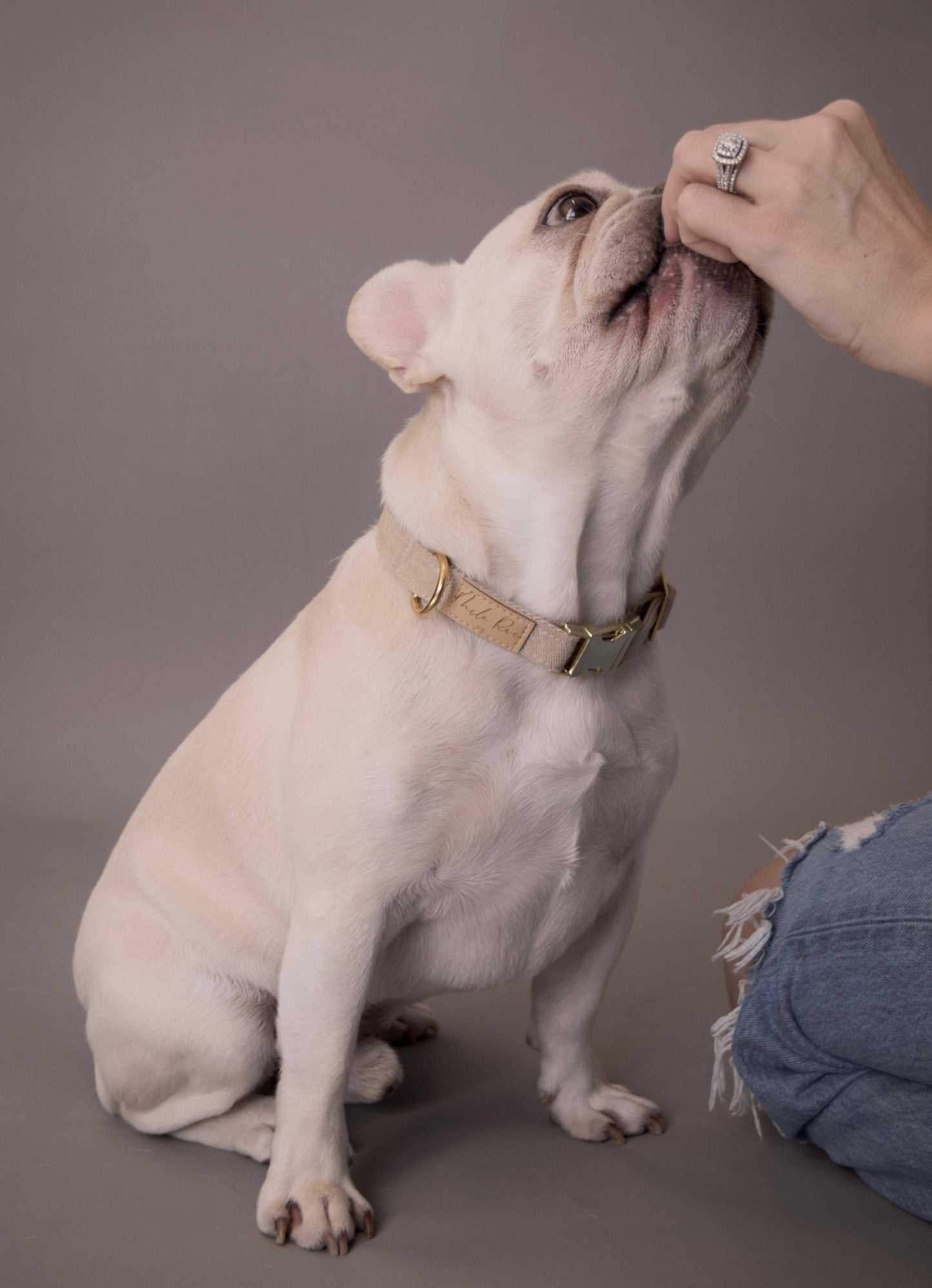 Relaxed Khaki Dog Collar