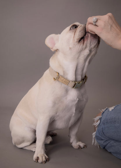 Relaxed Khaki Dog Collar