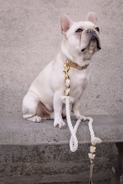 Relaxed Khaki Collar Walk Set