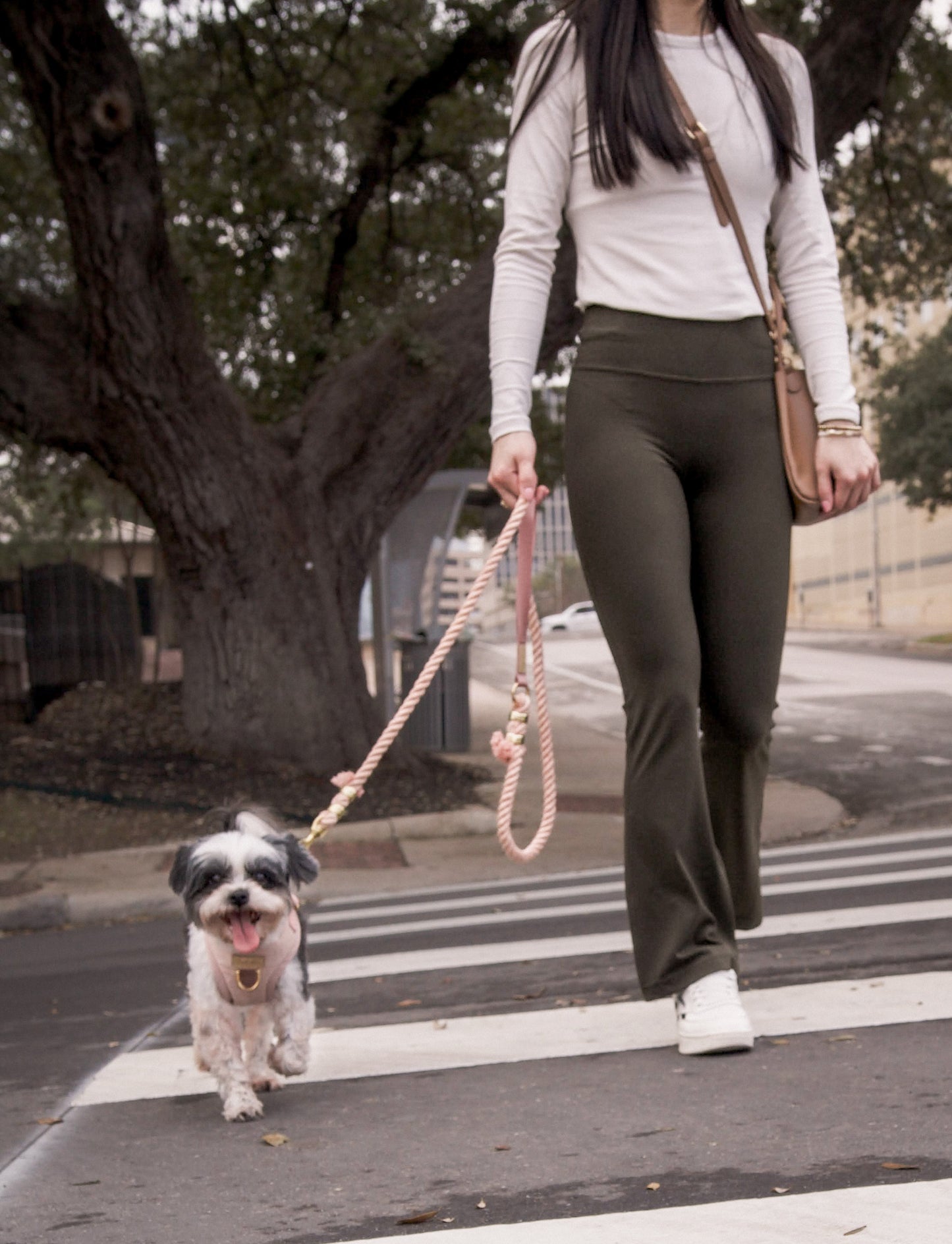 Dusty Rose Leash