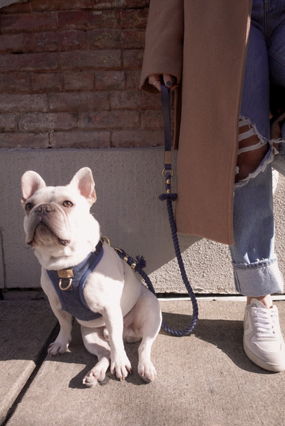 Stormy Blue Leash