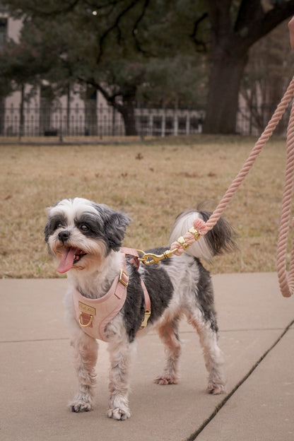 Dusty Rose Dog Harness