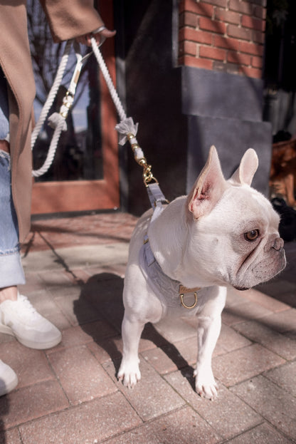 Dove Gray Harness Walk Set