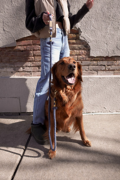 Stormy Blue Leash